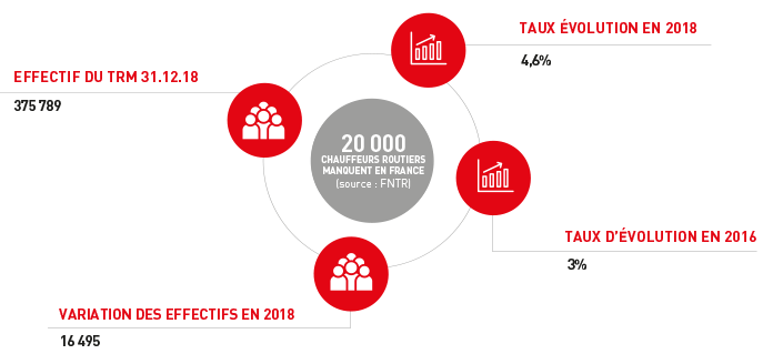 Les effectifs du secteur du transport en 2019